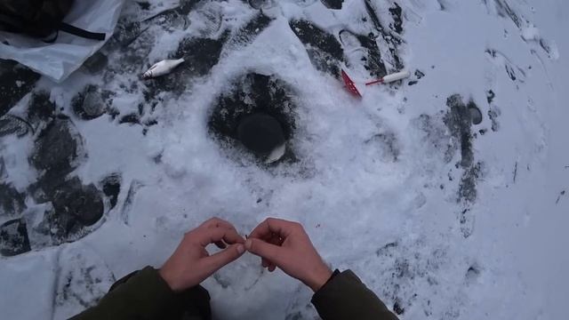 ПЕРВАЯ ЗИМНЯЯ РЫБАЛКА В ФЕВРАЛЕ НА РЕКЕ. Ловля плотвы,густеры,голавля на мормышку. смотреть онлайн