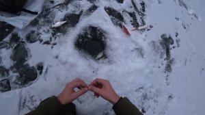 ПЕРВАЯ ЗИМНЯЯ РЫБАЛКА В ФЕВРАЛЕ НА РЕКЕ. Ловля плотвы,густеры,голавля на мормышку.