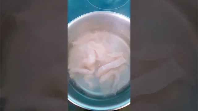 Лысая Кошка Сфинкс Maggie КУШАЕТ Чем кормить #shorts смотреть онлайн