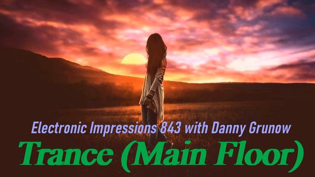 Electronic Impressions 843 with Danny Grunow смотреть онлайн