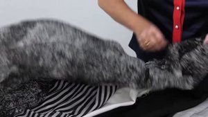 Шифоновая юбка в стиле Brunello Cucinelli. Обзор готового изделия —  бежевая юбка со складками.