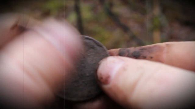 ТОТ САМЫЙ ПРИЯТНЫЙ МОМЕНТ, КОГДА ЕЩЕ НЕ ЗНАЕШЬ ГОД МОНЕТЫ... КОП, КОП С МЕТАЛЛОИСКАТЕЛЕМ,ПОИСК МОНЕ