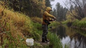 ловля мохтика на спиннинг