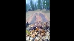 мотоблок из кпп ЗАЗ и передний адаптер самосвал