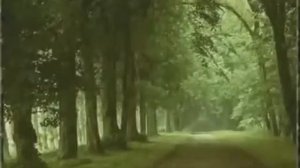 ТАНГО КРАСИВАЯ Музыка дождя.на аккордеоне,Tango akordeone