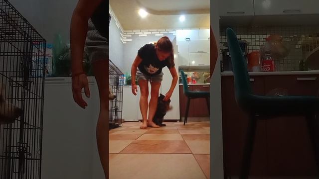 из дома цорри 
41день