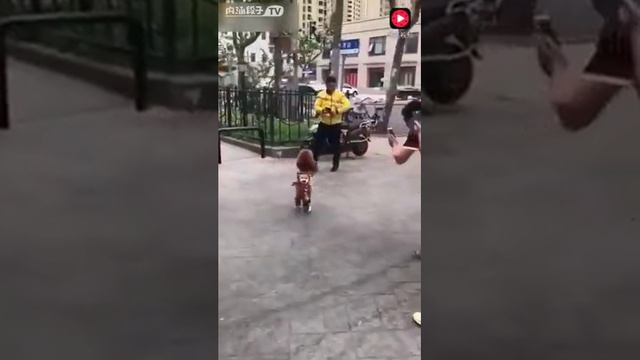 Видеоклип смотреть онлайн