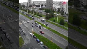 Собака не пострадала!