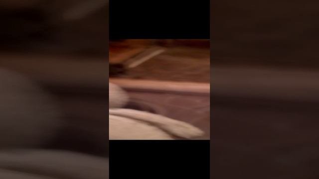 уход