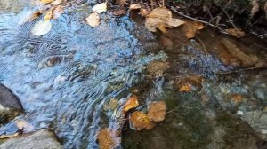 Домбай. Идем к водопаду Алибек.