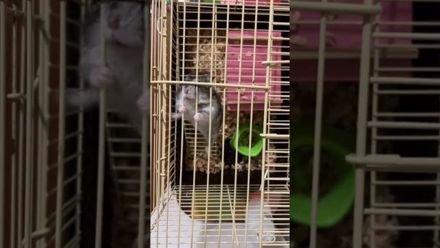 1000002075.mp4 смотреть онлайн