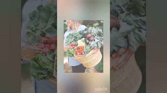 Правильный праздник Урожая. смотреть онлайн