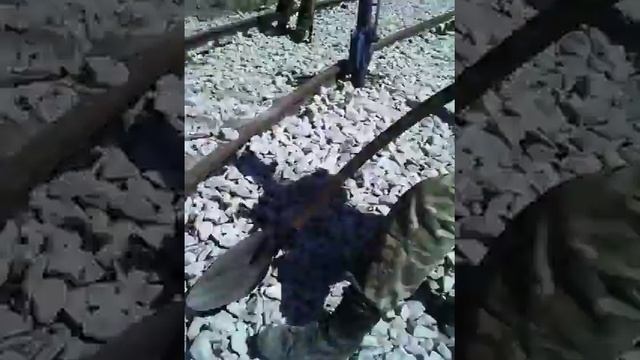 Армия ждв смотреть онлайн