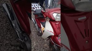 бозори Хочи Шариф саг,велик бозор