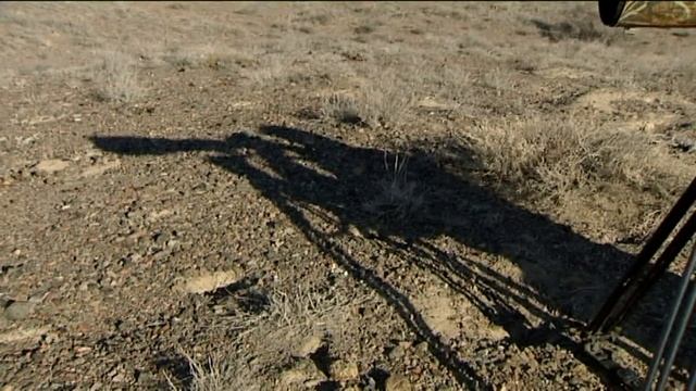 Заповедники Казахстана. Алтын Емель II смотреть онлайн