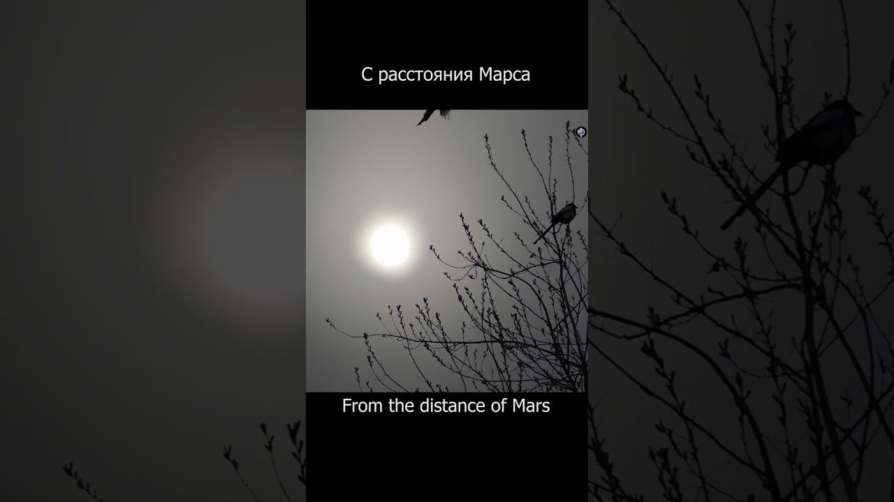 Размеры Солнца на небе с расстояния разных планет Солнечной системы #shorts смотреть онлайн