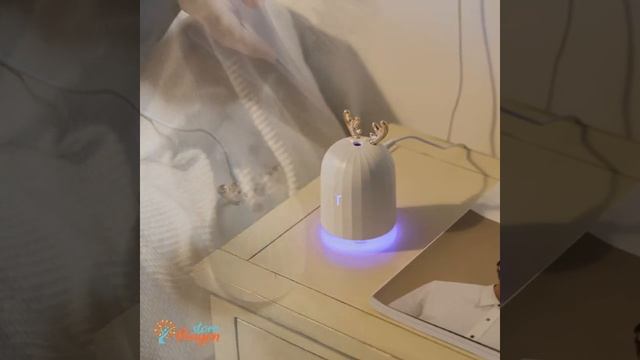 ⚜️♻️ ???? ???? & ?????? ???? ??? ?????????? ??? ????? ????? ♻️⚜️ смотреть онлайн