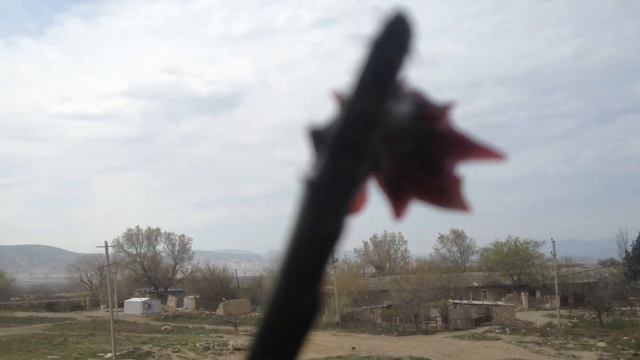 У НАС ЗАЦВЕЛ КАКТУС РАСПУСТИЛ БУТОНЫ 10.04.2020 смотреть онлайн