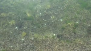 На море в Крым Отдых в Севастополь Кача Отдых