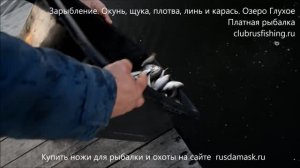 Зарыбление. Окунь, щука, плотва, линь и карась. Озеро Глухое (Мякушинское).