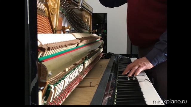 Мой любимый настройщик пианино - My favorite piano tuner смотреть онлайн