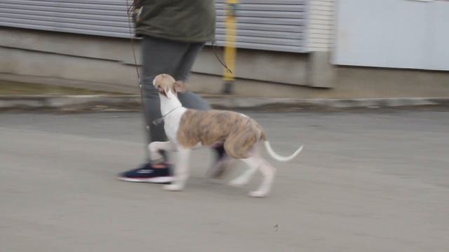 MVI 5382 смотреть онлайн