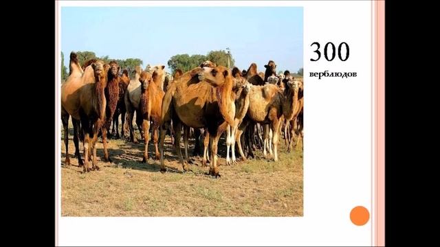 Воскресная школа 13 сентября 2020 года. Тема занятия: 