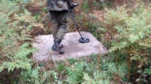 Металлодетекторный поиск монет в высокой траве летом