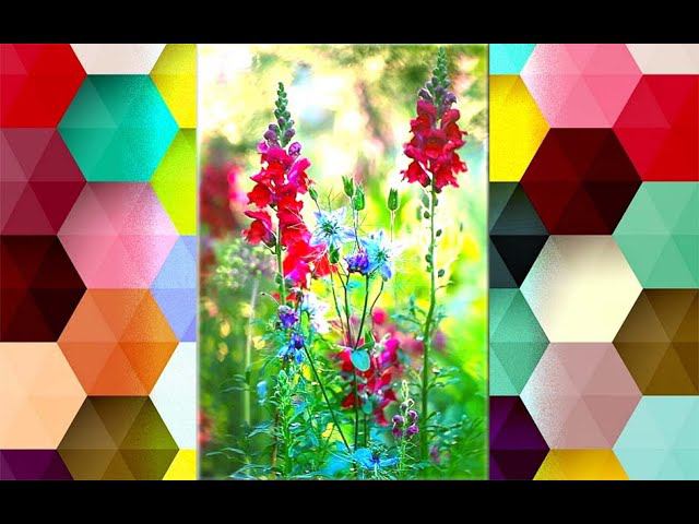 Как взять силу трав? смотреть онлайн