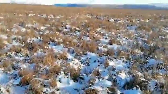 Вездеход Соломономобиль-94 на Чукотке. смотреть онлайн