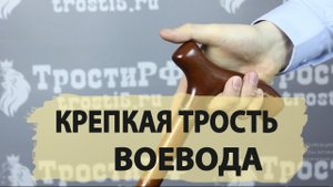 Трость пожилым людям | “Воевода”