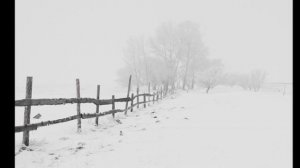 Дмитрий Демир - Вдоль по улице метелица метёт