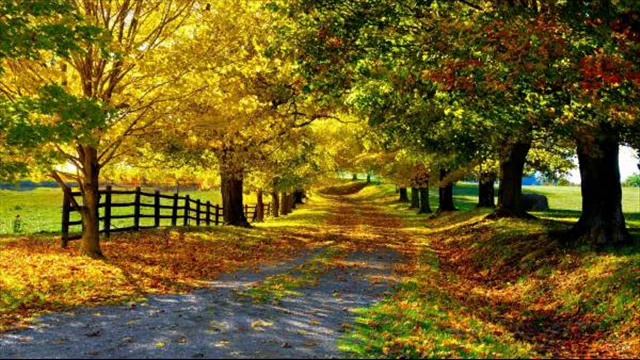 Детские песни .Осенние дорожки.wmv смотреть онлайн