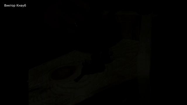 Кормушка для птиц своими руками // выполняю заказ дочки! смотреть онлайн