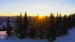 "Зимние мелодии" - Успокаивающая музыка исцеляет разум и тело, успокаивает нервную систему