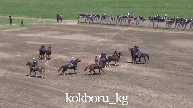 "Ахиллес"-лучшая лошадь в центральной азии!!! смотреть онлайн