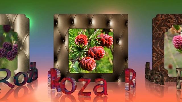 Полярная роза смотреть онлайн