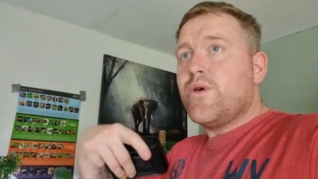 Green Tree Phyton Bioactive Setup смотреть онлайн