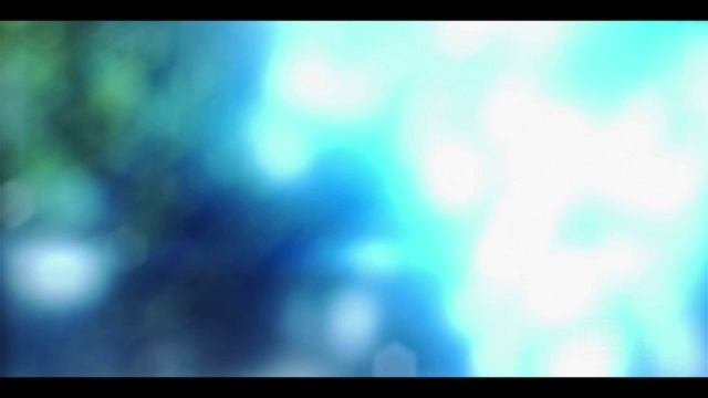 НОВОСТИ - выпуск от 25.12.2023