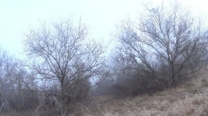 Охота на зайца с рпг Бушуй КРАСНОДАРСКИЙ КРАЙ. Было жарко