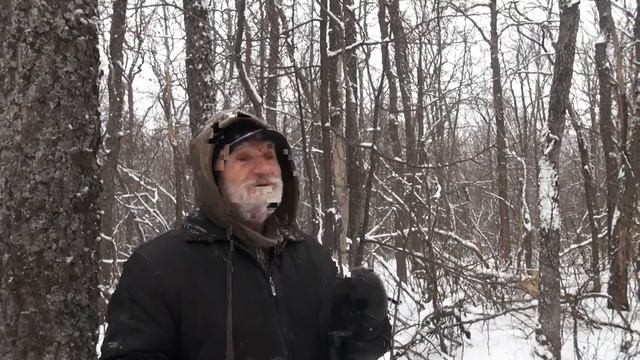 Карамзин и козы. Зимняя пастьба. смотреть онлайн