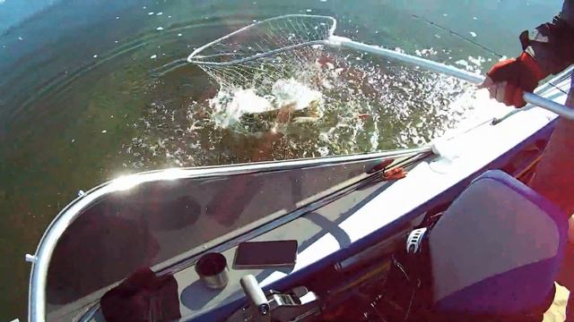 Щука на троллинг в сентябре Много поклевок Супер рыбалка. смотреть онлайн