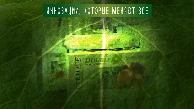 Бренду Nutrilite - 80 лет! смотреть онлайн