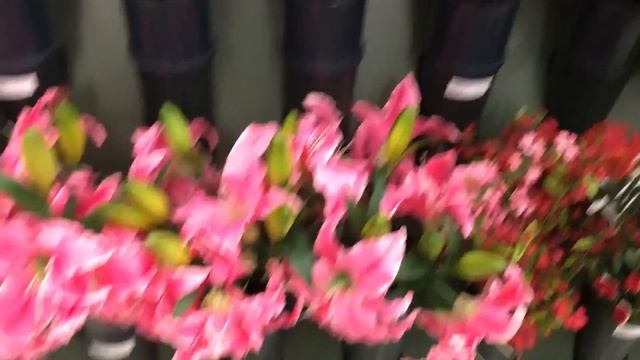 50. Ух ты!- осень- Hobby Lobby- от цветов до натуральных камней смотреть онлайн