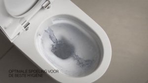 Geberit Rimfree® wc's