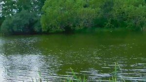 Самые ЭФФЕКТИВНЫЕ, монтажи ДЛЯ ФИДЕРА! SeMano TV