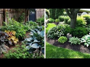 53 идеи оформления красивой клумбы в тени