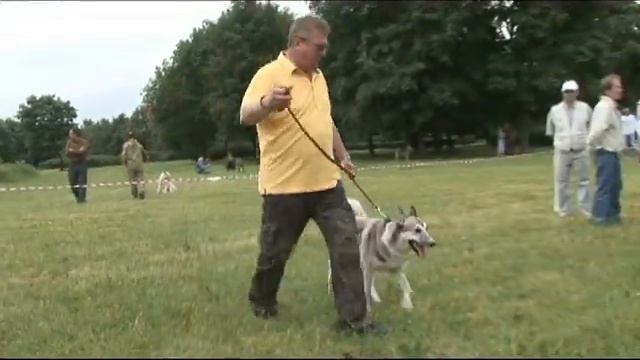 Мл возрастная.mp4 смотреть онлайн