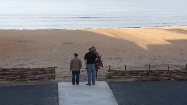 Лошадь для Дон Кихота и его верного оруженосца смотреть онлайн