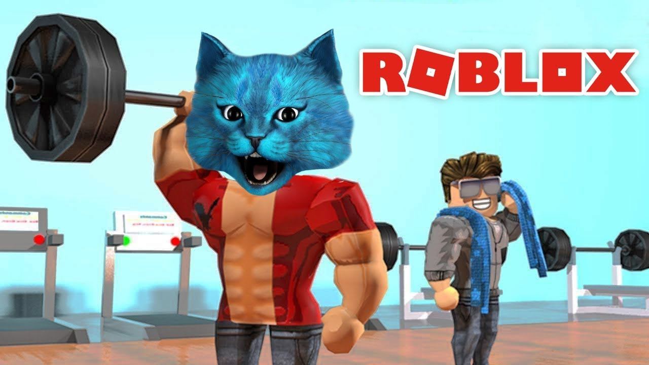 Игра котята roblox